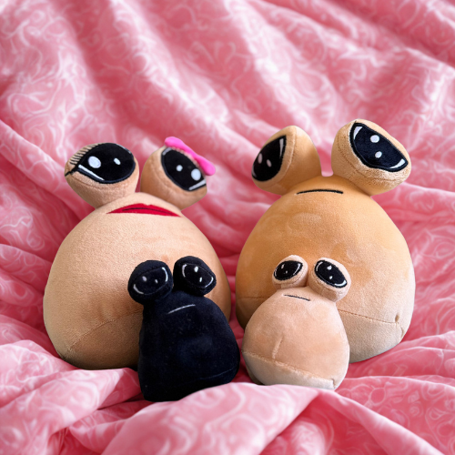 Mr. Pou